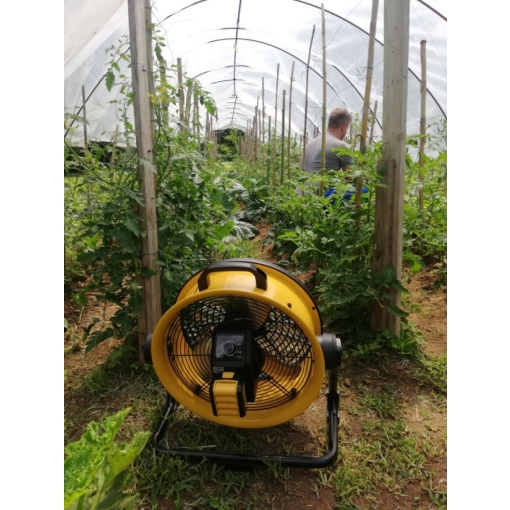 Wentylator - cyrkulator Master DFB16 w szklarni